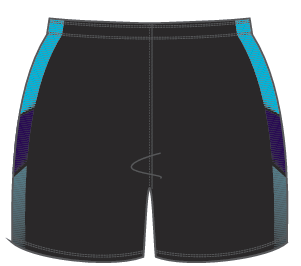 Hornets Touch Men's Playing Short