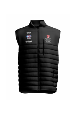 Male puffer vest