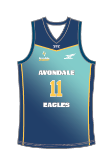 Women's Volleyball Singlet