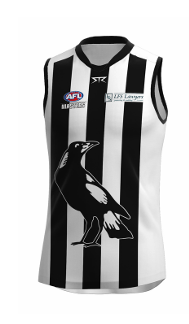 Diamond Valley Home Heritage Jersey Short Sleeve (Merchandise)