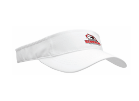Visor