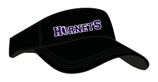 Hornets Visor